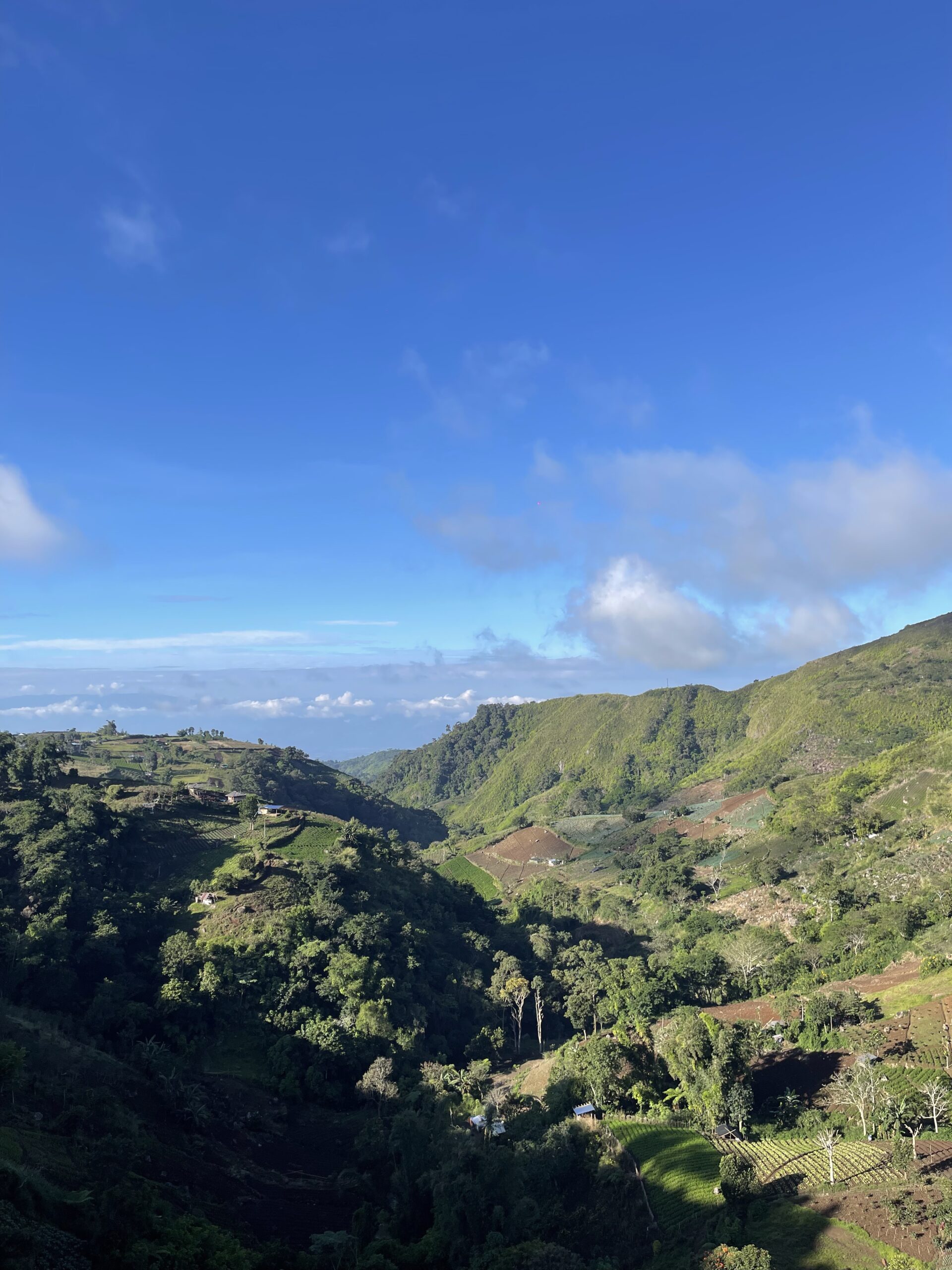 Scenery from Mount Apo